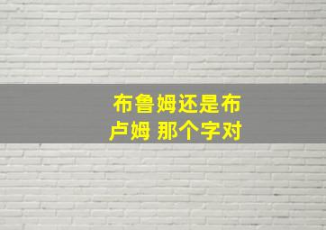 布鲁姆还是布卢姆 那个字对